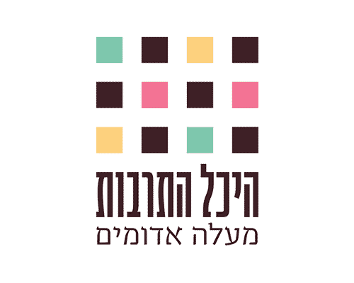 ניקוי ריפודים היכל התרבות