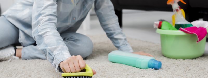 ניקוי שטיחים מחיר