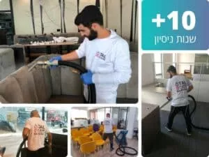 טל קלין