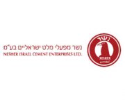 נשר נשר